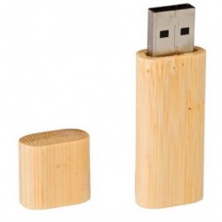 Pamięć przenośna USB